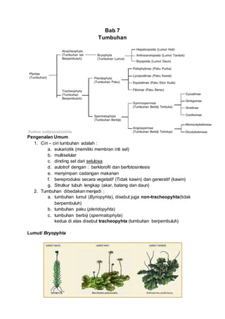 Bab 7
Tumbuhan
Pengenalan Umum
1. Ciri – ciri tumbuhan adalah :
a. eukariotik (memiliki membran inti sel)
b. multiselular
c. dinding sel dari selulosa
d. autotrof dengan : berklorofil dan berfotosintesis
e. menyimpan cadangan makanan
f. bereproduksi secara vegetatif (Tidak kawin) dan generatif (kawin)
g. Strutkur tubuh lengkap (akar, batang dan daun)
2. Tumbuhan dibedakan menjadi :
a. tumbuhan lumut (Byriopyhta), disebut juga non-tracheopyhta(tidak
berpembuluh)
b. tumbuhan paku (pteridopyhta)
c. tumbuhan berbiji (spermatophyta)
kedua di atas disebut tracheopyhta (tumbuhan berpembuluh)
Lumut/ Bryopyhta
 