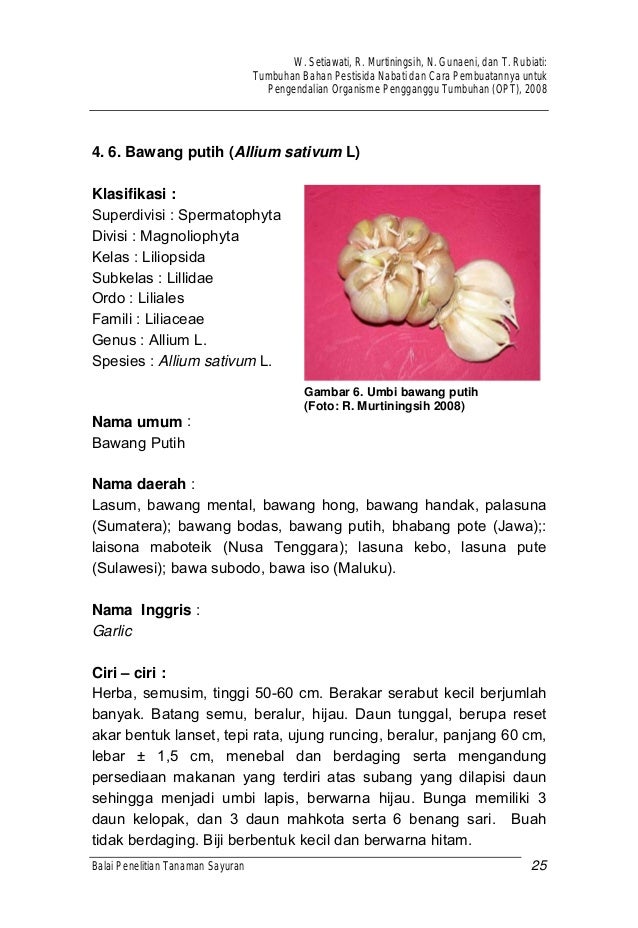 Tumbuhan bahan pestisida nabati