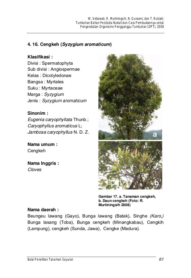  Tumbuhan bahan pestisida nabati