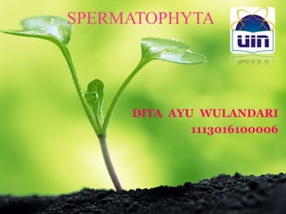 SPERMATOPHYTA
DITA AYU WULANDARI
1113016100006
 