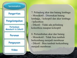 7. Pelindung akar dan batang lembaga
- Monokotil : Ditemukan batang
lembaga, / koleoptil dan akar lembaga
/ keleorhiza
- Dikotil : Tidak ada pelindung
koleorhiza maupun koleoptil
8. Pertumbuhan akar dan batang
- Monokotil : Tidak bisa tumbuh
berkembang menjadi membesar
- Dikotil : Bisa tumbuh berkembang
menjadi membesar.
Spermatophyta
Pengertian
Pengelompokan
Perbedaan
Monokotil & Dikotil
Peranan
Pengayaan
Video
 