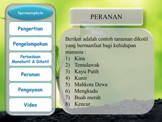 Spermatophyta
Pengertian
Pengelompokan
Perbedaan
Monokotil & Dikotil
Peranan
PERANAN
Berikut adalah contoh tanaman dikotil
yang bermanfaat bagi kehidupan
manusia :
1) Kina
2) Temulawak
3) Kayu Putih
4) Kunir
5) Mahkota Dewa
6) Mengkudu
7) Buah merah
8) Kencur
Pengayaan
Video
 