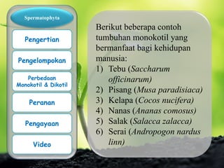 Berikut beberapa contoh
tumbuhan monokotil yang
bermanfaat bagi kehidupan
manusia:
1) Tebu (Saccharum
officinarum)
2) Pisang (Musa paradisiaca)
3) Kelapa (Cocos nucifera)
4) Nanas (Ananas comosus)
5) Salak (Salacca zalacca)
6) Serai (Andropogon nardus
linn)
Spermatophyta
Pengertian
Pengelompokan
Perbedaan
Monokotil & Dikotil
Peranan
Pengayaan
Video
 
