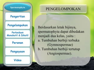 PENGELOMPOKAN
Berdasarkan letak bijinya,
spermatophyta dapat dibedakan
menjadi dua kelas, yaitu :
a. Tumbuhan berbiji terbuka
(Gymnospermae)
b. Tumbuhan berbiji tertutup
(Angiospermae).
Spermatophyta
Pengertian
Pengelompokan
Perbedaan
Monokotil & Dikotil
Peranan
Pengayaan
Video
 