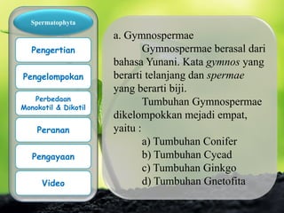 a. Gymnospermae
Gymnospermae berasal dari
bahasa Yunani. Kata gymnos yang
berarti telanjang dan spermae
yang berarti biji.
Tumbuhan Gymnospermae
dikelompokkan mejadi empat,
yaitu :
a) Tumbuhan Conifer
b) Tumbuhan Cycad
c) Tumbuhan Ginkgo
d) Tumbuhan Gnetofita
Spermatophyta
Pengertian
Pengelompokan
Perbedaan
Monokotil & Dikotil
Peranan
Pengayaan
Video
 