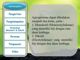 Agiospermae dapat dibedakan
menjadi dua kelas, yaitu :
1. Monokotil (Monocotyledonae)
yang memiliki biji dengan satu
daun lembaga.
2. Dikotil
(Dicotyledonae) yang memiliki
biji dengan dua daun lembaga.
Spermatophyta
Pengertian
Pengelompokan
Perbedaan
Monokotil & Dikotil
Peranan
Pengayaan
Video
 