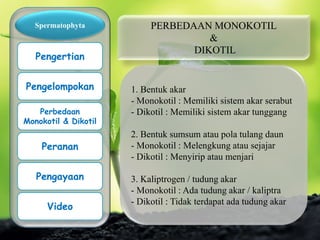PERBEDAAN MONOKOTIL
&
DIKOTIL
1. Bentuk akar
- Monokotil : Memiliki sistem akar serabut
- Dikotil : Memiliki sistem akar tunggang
2. Bentuk sumsum atau pola tulang daun
- Monokotil : Melengkung atau sejajar
- Dikotil : Menyirip atau menjari
3. Kaliptrogen / tudung akar
- Monokotil : Ada tudung akar / kaliptra
- Dikotil : Tidak terdapat ada tudung akar
Spermatophyta
Pengertian
Pengelompokan
Perbedaan
Monokotil & Dikotil
Peranan
Pengayaan
Video
 