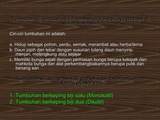 Tumbuhan biji tertutup adalah tumbuhan yang bijinya terdapat di
                        dalam bakal buah.

Ciri-ciri tumbuhan ini adalah:

a. Hidup sebagai pohon, perdu, semak, merambat atau herba/terna
b. Daun pipih dan lebar dengan susunan tulang daun menyirip,
   menjari, melengkung atau sejajar
c. Memiliki bunga sejati dengan perhiasan bunga berupa kelopak dan
   mahkota bunga dan alat perkembangbiakannya berupa putik dan
   benang sari

   Tumbuhan biji dibagi menjadi dua kelas berdasarkan jumlah
                       keping bijinya, yaitu:

1. Tumbuhan berkeping biji satu (Monokotil)
2. Tumbuhan berkeping biji dua (Dikotil)
 
