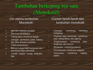 Tumbuhan berkeping biji satu
              (Monokotil)
     Ciri utama tumbuhan                    Contoh famili-famili dari
             Monokotil :                      tumbuhan monokotil:

3.   Memiliki kotiledon tunggal,        •    Liliaceae,    contohnya    kembang
4.   Daunnya berpelepah,                     sungsang.
5.   Tulang daun umumnya sejajar,       •    Poaceae atau Graminae, contohnya
                                             padi, alang-alang, dan jagung.
6.   Jaringan pembuluh pada batang
     dan akar tersusun tersebar,        •    Zingiberaceae, contohnya jahe,
                                             lengkuas, dan kencur.
7.   Tidak berkambium,
                                        •    Musaceae, contohnya pisang.
8.   Bentuk bunga tidak beraturan dan
     warnanya tidak mencolok.           •    Orchidaceae, contohnya anggrek.
9.   Jumlah bagian bunga kelipatan      •    Arecaceae,      contohnya    kelapa,
     tiga                                    palem.
 