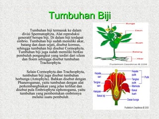 Tumbuhan Biji
          Tumbuhan biji termasuk ke dalam
    divisi Spermatophyta. Alat reproduksi
 generatif berupa biji. Di dalam biji terdapat
embrio. Tumbuhan biji sudah memiliki akar,
   batang dan daun sejati, disebut kormus,
sehingga tumbuhan biji disebut Cormophyta.
 Tumbuhan biji juga sudah memiliki berkas
pembuluh pengangkut yang terdiri dari xilem
    dan floem sehingga disebut tumbuhan
                Tracheophyta.

       Selain Cormophyta dan Tracheophyta,
     tumbuhan biji juga disebut tumbuhan
berbunga (Antophyta). Bahkan disebut dengan
 Phanerogamae, yaitu tumbuhan dengan alat
  perkembangbiakan yang jelas terlihat dan
disebut pula Embriophyta siphonogama, yaitu
   tumbuhan yang pembentukan embrionya
           melalui suatu pembuluh.
 