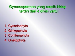 Gymnospermae yang masih hidup
      terdiri dari 4 divisi yaitu:


1. Cycadophyta
2. Ginkgophyta
3. Coniferophyta
4. Gnetophyta
 