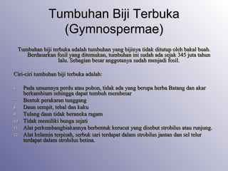Tumbuhan biji