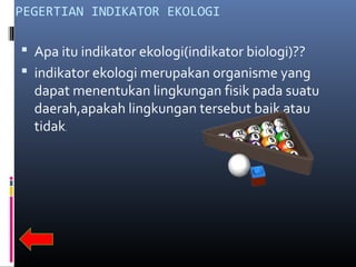 PEGERTIAN INDIKATOR EKOLOGI

 Apa itu indikator ekologi(indikator biologi)??
 indikator ekologi merupakan organisme yang
  dapat menentukan lingkungan fisik pada suatu
  daerah,apakah lingkungan tersebut baik atau
  tidak.
 
