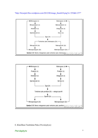 "http://biosejati.files.wordpress.com/2012/08/image_thumb10.png?w=555&h=277"




E. Klasifikasi Tumbuhan Paku (Pteridophyta)


Pteridophyta                                                                   8
 