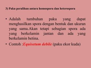 3) Paku peralihan antara homospora dan heterospora

• Adalah tumbuhan paku yang dapat
menghasilkan spora dengan bentuk dan ukuran
yang sama.Akan tetapi sebagian spora ada
yang berkelamin jantan dan ada yang
berkelamin betina.
• Contoh :Equisetum debile (paku ekor kuda)

 