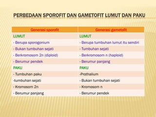 PERBEDAAN SPOROFIT DAN GAMETOFIT LUMUT DAN PAKU
Generasi sporofit

Generasi gametofit

LUMUT

LUMUT

- Berupa sporogonium

- Berupa tumbuhan lumut itu sendiri

- Bukan tumbuhan sejati

- Tumbuhan sejati

- Berkromosom 2n (diploid)

- Berkromosom n (haploid)

- Berumur pendek

- Berumur panjang

PAKU

PAKU

- Tumbuhan paku

-Prothalium

-tumbuhan sejati

- Bukan tumbuhan sejati

- Kromosom 2n

- Kromosom n

- Berumur panjang

- Berumur pendek

 