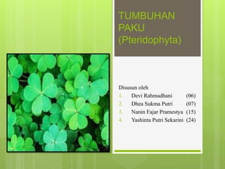 TUMBUHAN
PAKU
(Pteridophyta)
Disusun oleh
1. Devi Rahmadhani (06)
2. Dhea Sukma Putri (07)
3. Nanin Fajar Pramestya (15)
4. Yashinta Putri Sekarini (24)
 