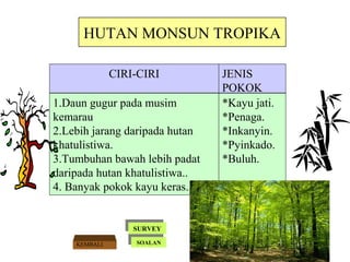 Tropika monsun Iklim muson