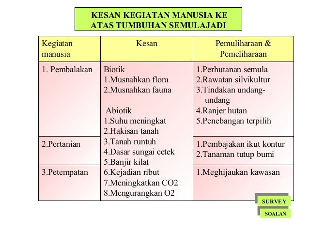 Contoh Soalan Survey - Rasmi X