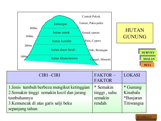 Tumbuhan semulajadi tg.1