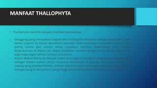 MANFAAT THALLOPHYTA
• Thallophyta memiliki banyak manfaat diantaranya:
• Ganggang yang merupakan bagian dari thallopytha berperan sebagai penghasil utama
bahan organik di dalam ekosistem perairan. Keberadaannya merupakan bagian yang
paling utama dari sistem rantai makanan. Aktifitas fotosintesis yang mampu
dilakukannya di dalam air, dapat dijadikan sumber oksigen yang sangat bemanfaat
bagi lingkungan sekitar tempat ia tumbuh.
• Bahan Makan Manusia: Banyak sekali jenis alga di dunia ini yang dapat dimanfaatkan
sebagai bahan makan untuk manusia. Contohnya di jepang. Ada jenis makanan di
Jepang yang disebut Kombu, terbuat dari laminaria (salah satu dari jenis laga cokelat)
mengandung fe dan protein yang tinggi serta memberikan manfaat vitamin A dan C.
 
