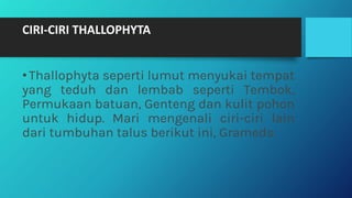 CIRI-CIRI THALLOPHYTA
•Thallophyta seperti lumut menyukai tempat
yang teduh dan lembab seperti Tembok,
Permukaan batuan, Genteng dan kulit pohon
untuk hidup. Mari mengenali ciri-ciri lain
dari tumbuhan talus berikut ini, Grameds:
 