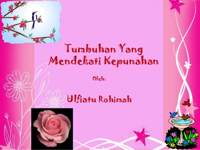 930 Koleksi Gambar Hewan Dan Tumbuhan Yang Mendekati Kepunahan Terbaru