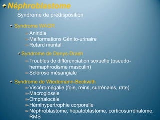 Néphroblastome
  Syndrome de prédisposition

 Syndrome WAGR
       Aniridie
       Malformations Génito-urinaire
       Retard mental
   Syndrome de Denys-Drash
      Troubles de différenciation sexuelle (pseudo-
      hermaphrodisme masculin)
      Sclérose mésangiale
 Syndrome de Wiedemann-Beckwith
       Viscéromégalie (foie, reins, surrénales, rate)
       Macroglossie
       Omphalocèle
       Hémihypertrophie corporelle
       Néphroblastome, hépatoblastome, corticosurrénalome,
       RMS
 