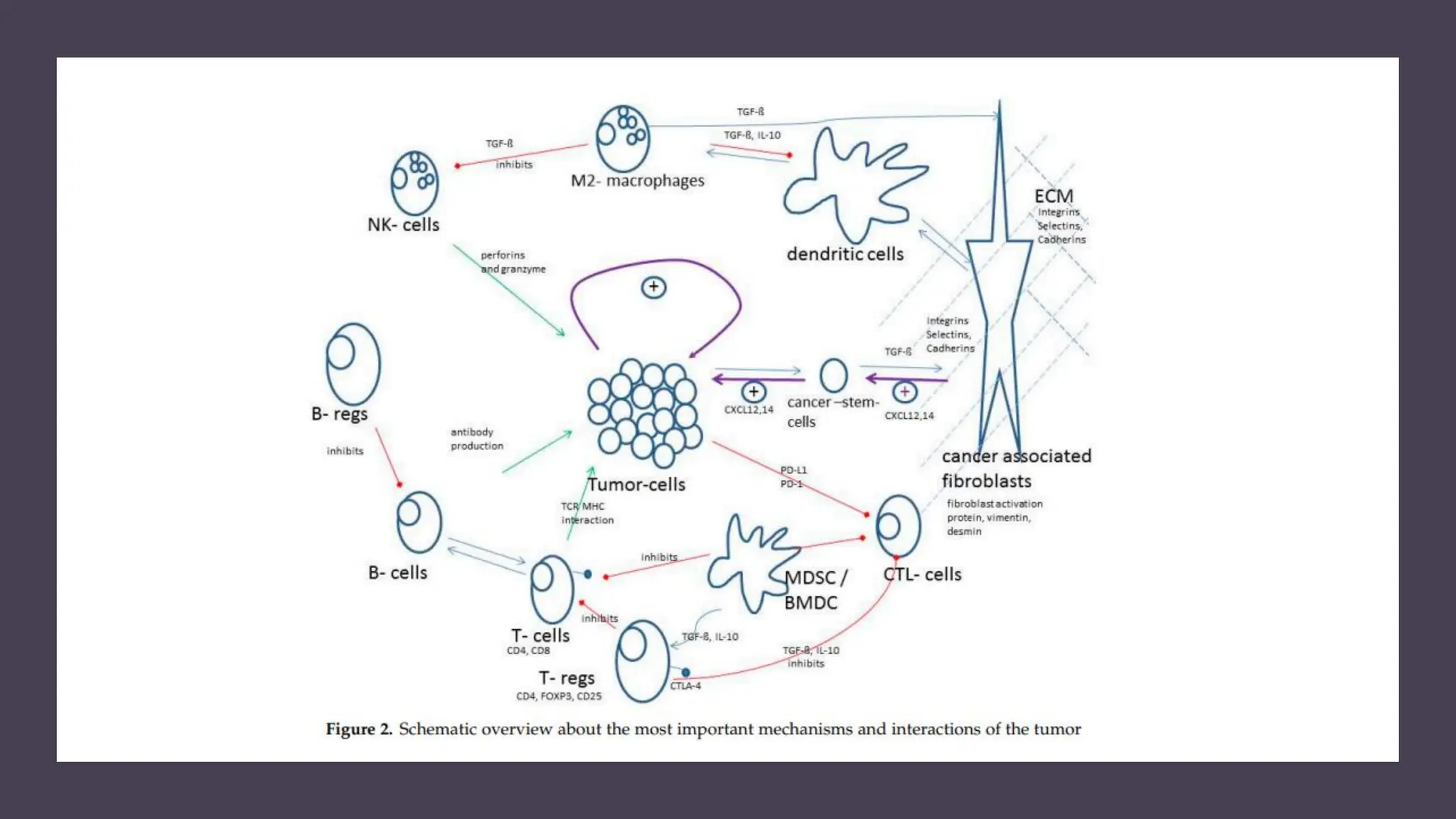 Tumor microenvironment: Underlying Secretes and its impact on cancer ...