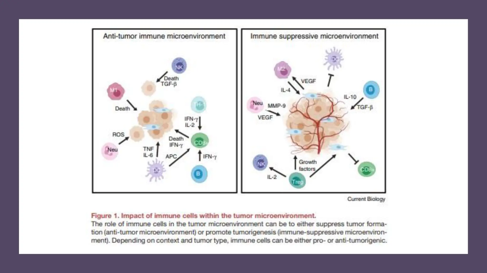 Tumor microenvironment: Underlying Secretes and its impact on cancer ...