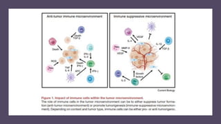 Tumor microenvironment: Underlying Secretes and its impact on cancer ...