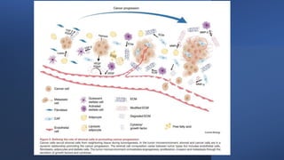 Tumor microenvironment: Underlying Secretes and its impact on cancer ...