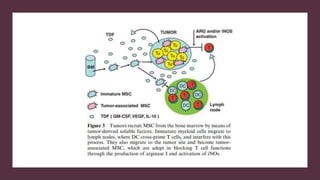 Tumor microenvironment: Underlying Secretes and its impact on cancer ...