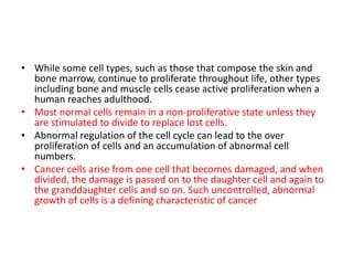 • While some cell types, such as those that compose the skin and
bone marrow, continue to proliferate throughout life, other types
including bone and muscle cells cease active proliferation when a
human reaches adulthood.
• Most normal cells remain in a non-proliferative state unless they
are stimulated to divide to replace lost cells.
• Abnormal regulation of the cell cycle can lead to the over
proliferation of cells and an accumulation of abnormal cell
numbers.
• Cancer cells arise from one cell that becomes damaged, and when
divided, the damage is passed on to the daughter cell and again to
the granddaughter cells and so on. Such uncontrolled, abnormal
growth of cells is a defining characteristic of cancer
 