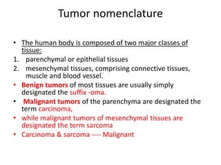 Tumor nomenclature
• The human body is composed of two major classes of
tissue:
1. parenchymal or epithelial tissues
2. mesenchymal tissues, comprising connective tissues,
muscle and blood vessel.
• Benign tumors of most tissues are usually simply
designated the suffix -oma.
• Malignant tumors of the parenchyma are designated the
term carcinoma,
• while malignant tumors of mesenchymal tissues are
designated the term sarcoma
• Carcinoma & sarcoma ---- Malignant
 