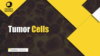 Tumor Cells
Creative · Bioarray
CREARIVE
BIOARRAY
 