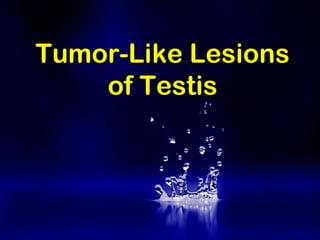 Tumor-Like LesionsTumor-Like Lesions
of Testisof Testis
 