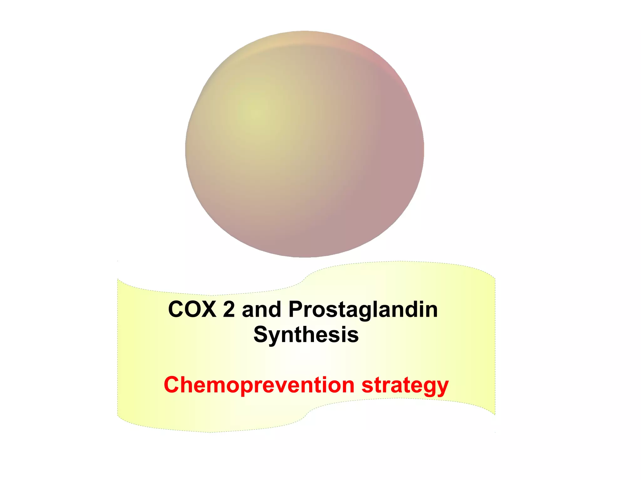 COX 2 and Prostaglandin
Synthesis
Chemoprevention strategy
 