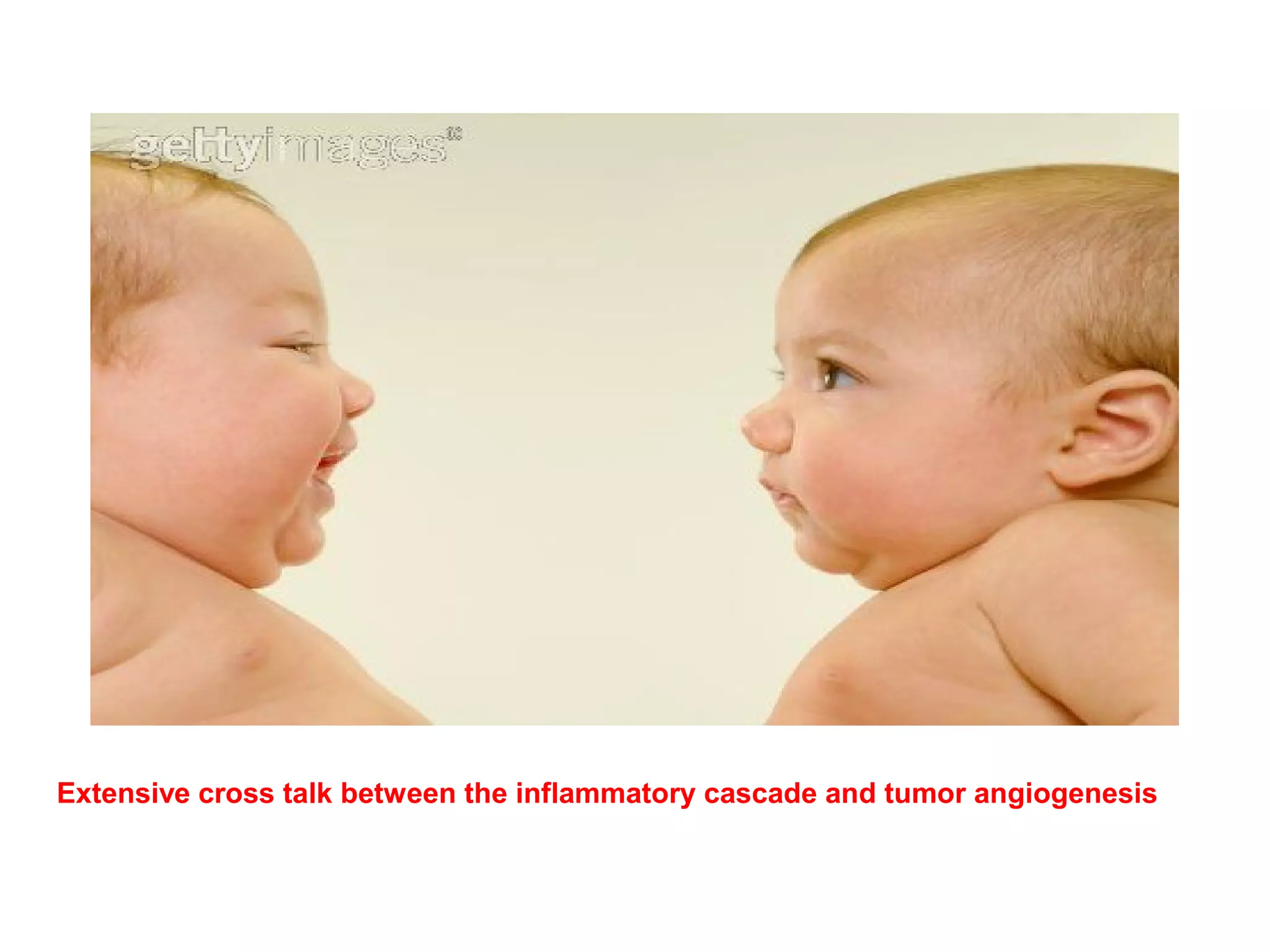 Extensive cross talk between the inflammatory cascade and tumor angiogenesis
 