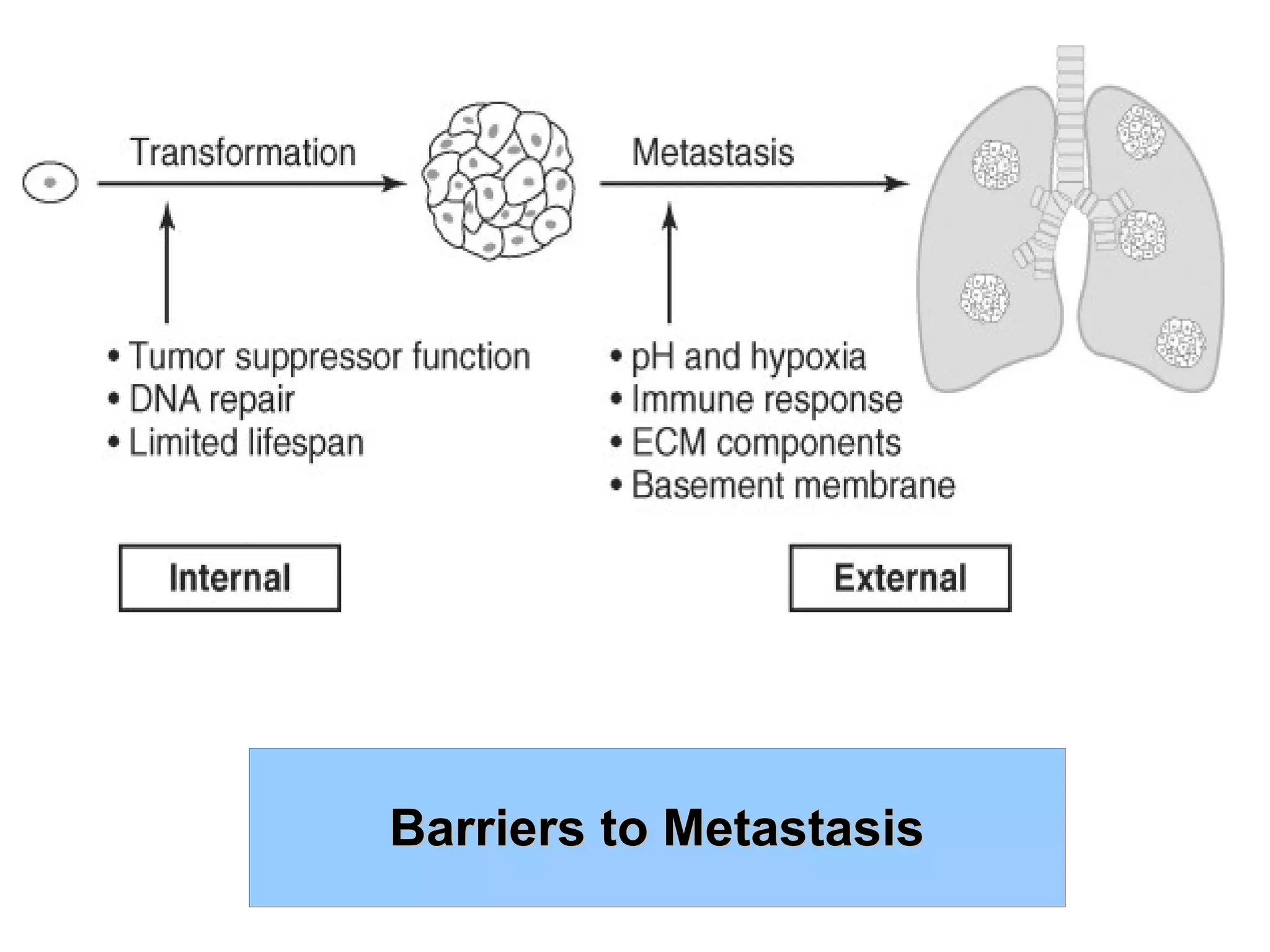 Barriers to MetastasisBarriers to Metastasis
 