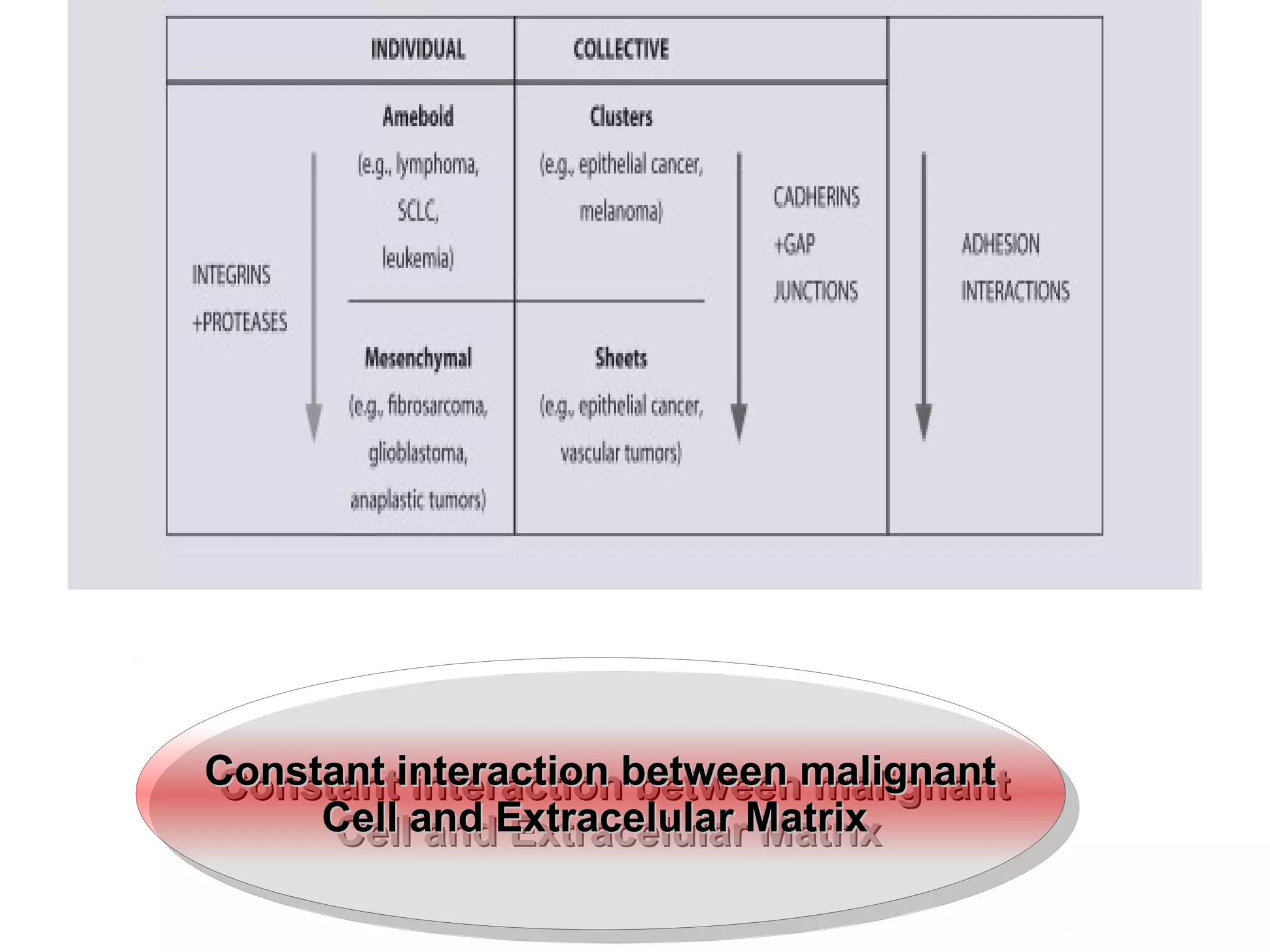 Constant interaction between malignantConstant interaction between malignant
Cell and Extracelular MatrixCell and Extracelular Matrix
Constant interaction between malignantConstant interaction between malignant
Cell and Extracelular MatrixCell and Extracelular Matrix
 