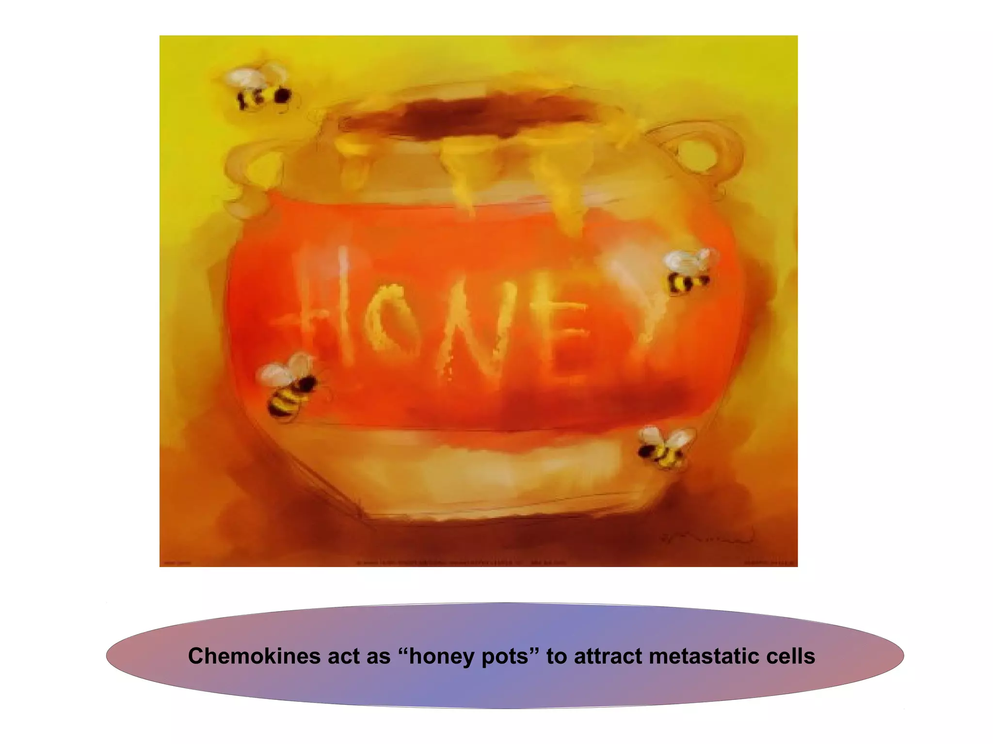 Chemokines act as “honey pots” to attract metastatic cells
 