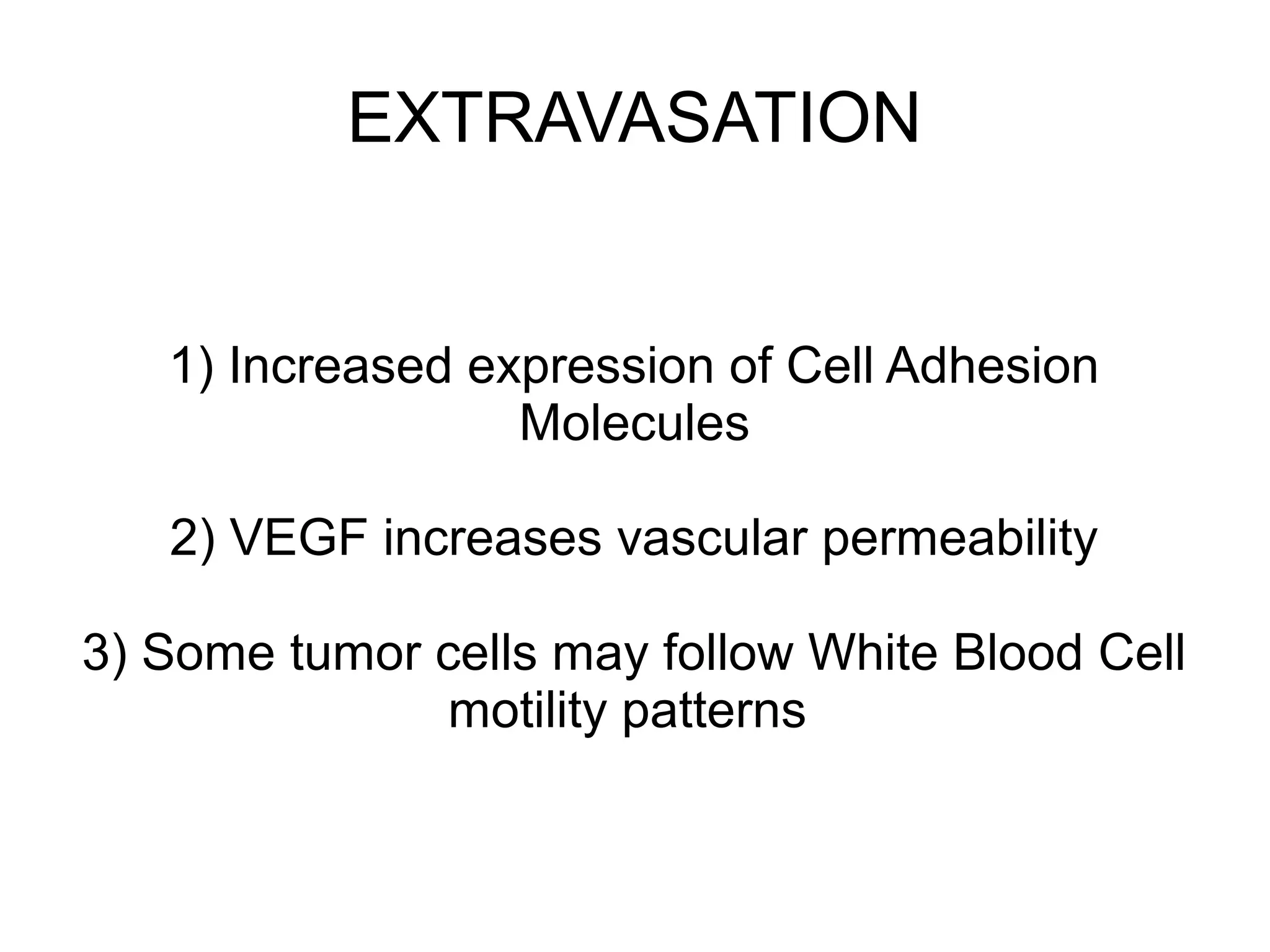 EXTRAVASATION
1) Increased expression of Cell Adhesion
Molecules
2) VEGF increases vascular permeability
3) Some tumor cells may follow White Blood Cell
motility patterns
 