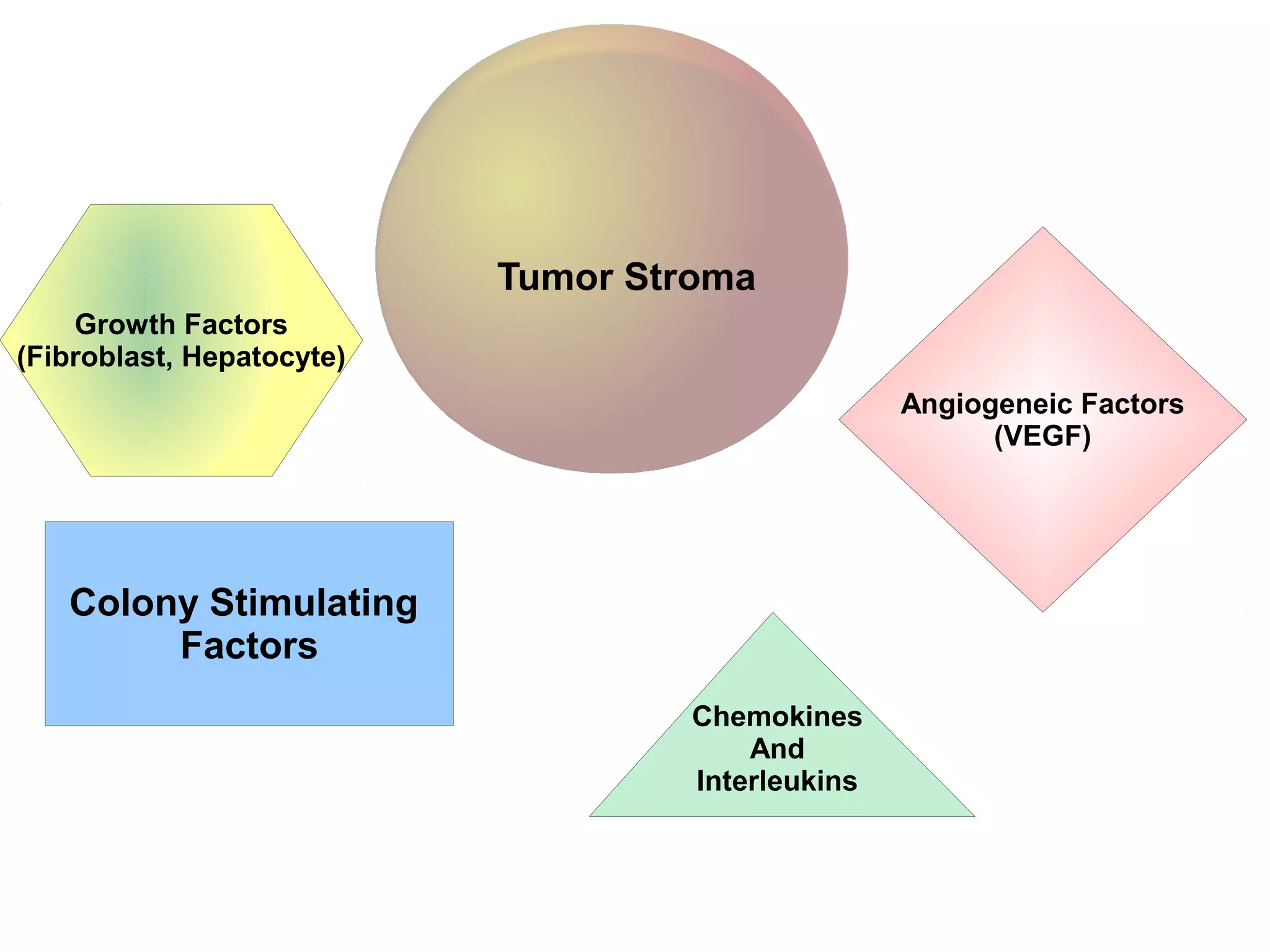Colony Stimulating
Factors
Chemokines
And
Interleukins
Angiogeneic Factors
(VEGF)
Tumor Stroma
Growth Factors
(Fibroblast, Hepatocyte)
 