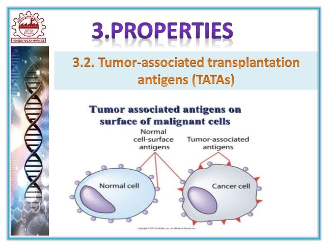 Frontiers - Immune Modulation Plus Tumor Ablation: Adjuvants and Antibodies  to Prime and Boost Anti-Tumor Immunity In Situ - Immunology