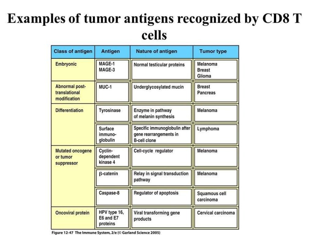 Tumor antigen and its types