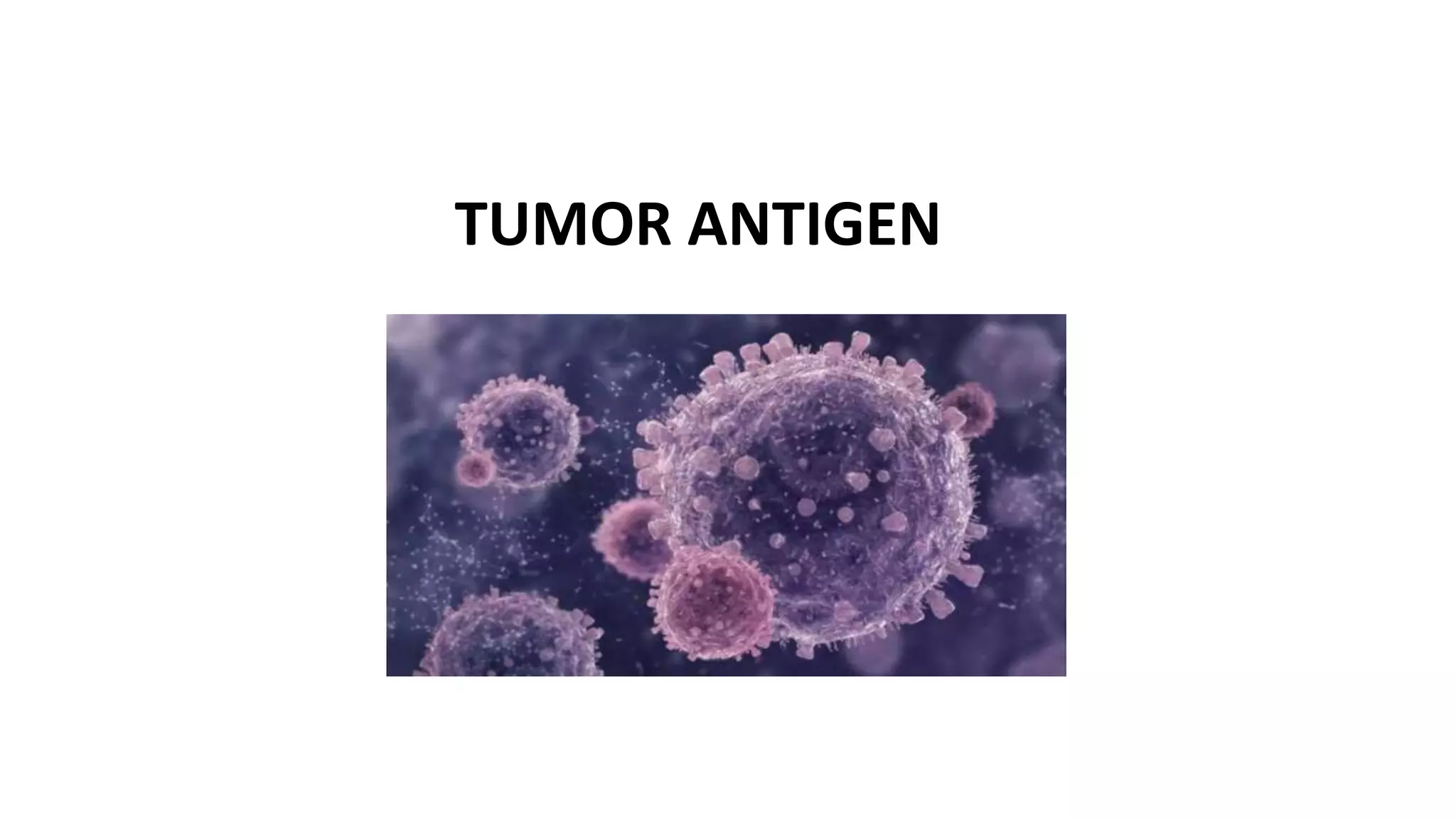 Tumor antigens & cancer immunotherapy.pptx