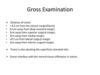 Gross Examination
 Distance of tumor
• < 0.5 cm from the closest margin(fascia)
• 0.1cm away from deep resected margin,
• 2cm away from superior surgical margin,
• 3cm away from medial margin,
• <0.5 cm from lateral surgical margin
• 3cm away from inferior surgical margin.
 Tumor is also abutting the superficial ulcerated skin.
 Tumor interface with the normal tissue-infiltrative in nature.
 