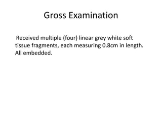 Gross Examination
Received multiple (four) linear grey white soft
tissue fragments, each measuring 0.8cm in length.
All embedded.
 