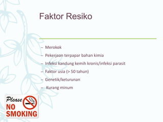 Faktor Resiko
– Merokok
– Pekerjaan terpapar bahan kimia
– Infeksi kandung kemih kronis/infeksi parasit
– Faktor usia (> 50 tahun)
– Genetik/keturunan
– Kurang minum
 